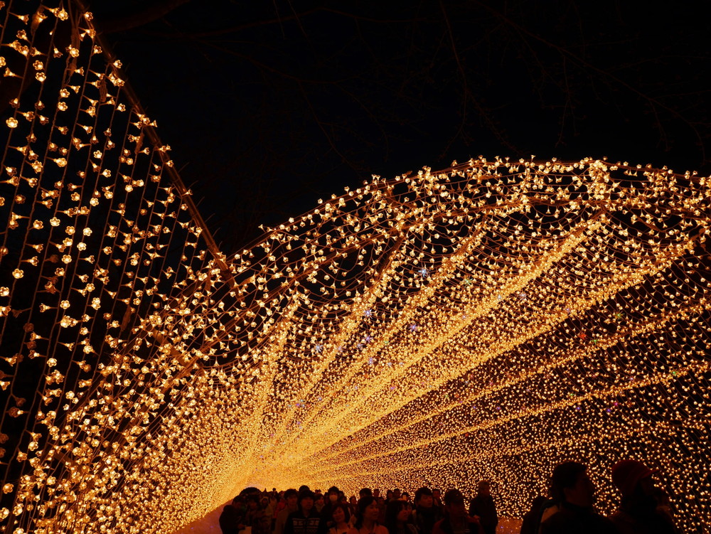 �v���|�[�Y�ɂ������߂̃C���~�l�[�V�����X�|�b�g�́H