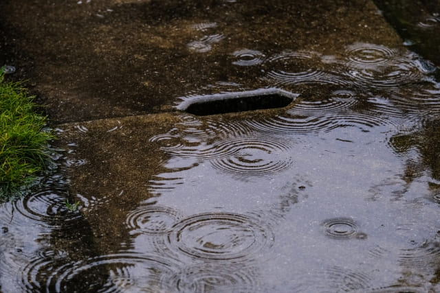 �ꍇ�ɂ���Ă̓_���I�������v���|�[�Y�ꏊ�Ƃ��čň�