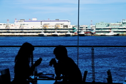 ���}���`�b�N�ȃv���|�[�Y