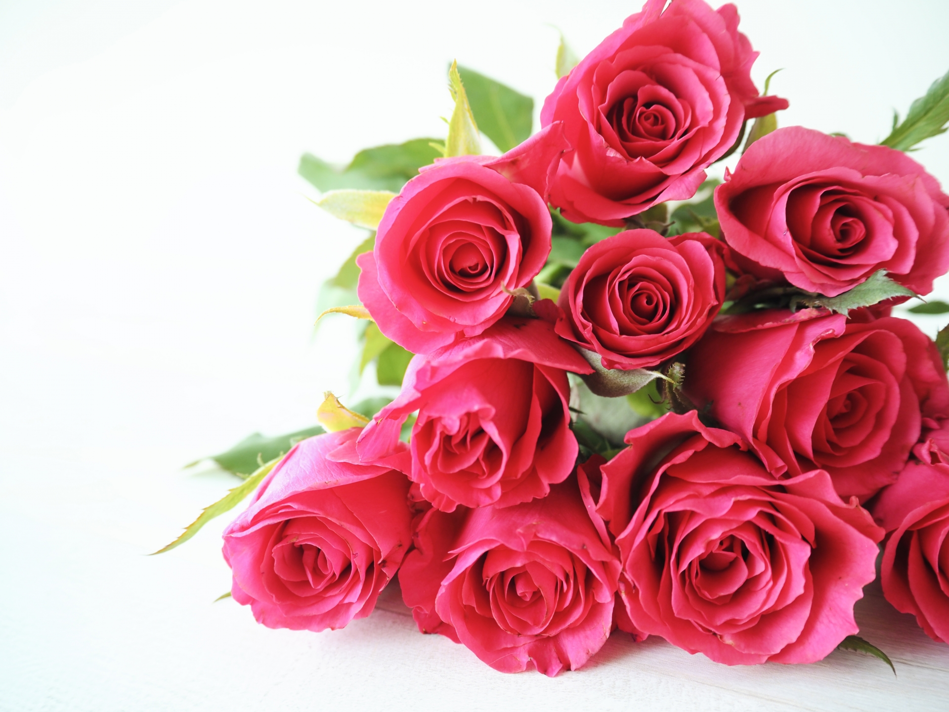 プロポーズのバラは数に注意!それぞれの意味とおすすめの本数