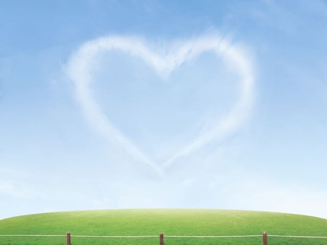 �v���|�[�Y��f���Ȃ����߂ɕK�v�Ȃ���