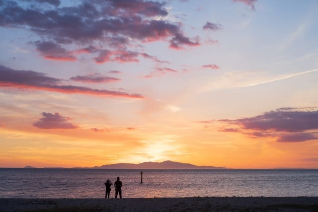 �v���|�[�Y�̂��߂̎莆�̏������̃R�c