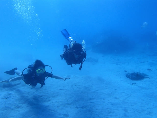 言われてみたいプロポーズの言葉B個性的な言葉や演出